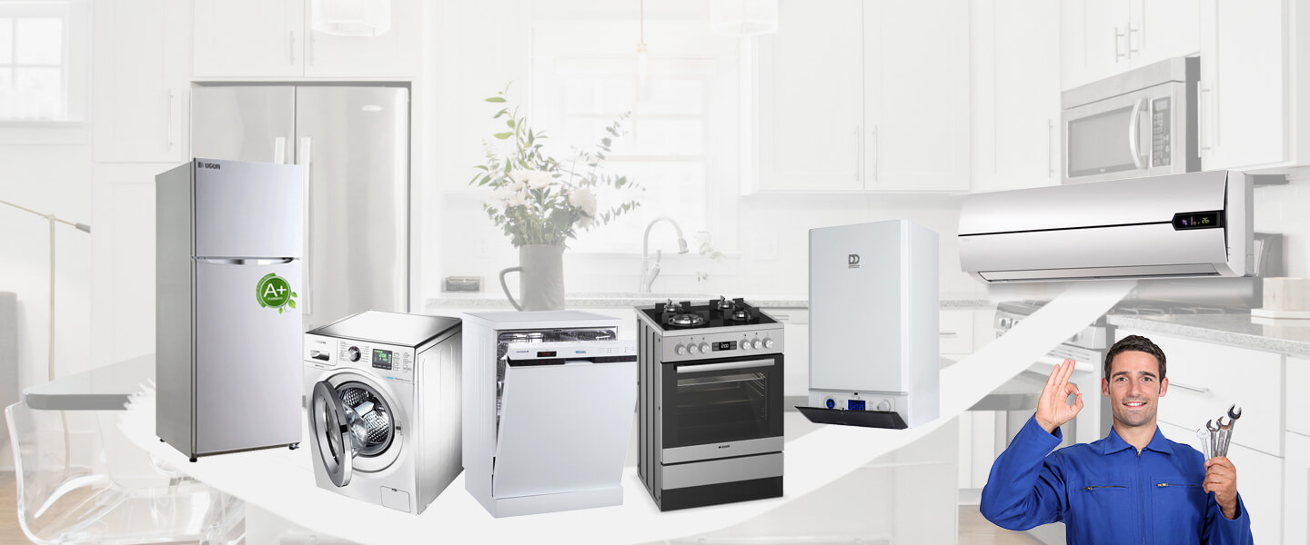 Ataşehir Hoover Servisi